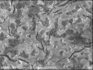 BC-20_有機微粒子